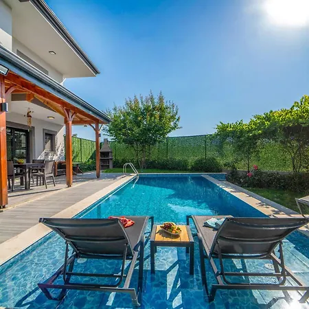 ヴィラ Lux Seydikemer Private Pool Nature View Seydiler